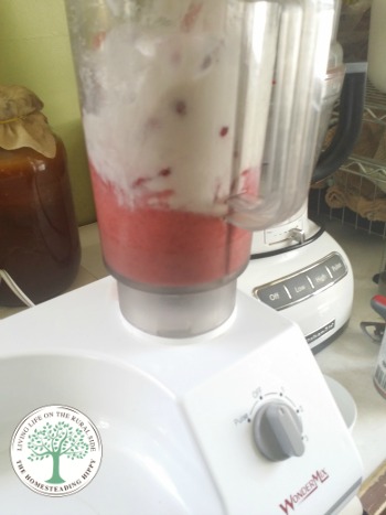 Check out this delicious recipe and make your own ice cream in less than 30 seconds! The Homesteading Hippy #homesteadhippy #fromthefarm #wondermix