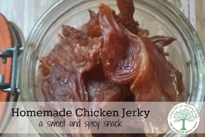 Perfect for on the go, camping or anytime snacking.  This chicken jerky will keep you coming back for more! The Homesteading Hippy #homesteadhippy