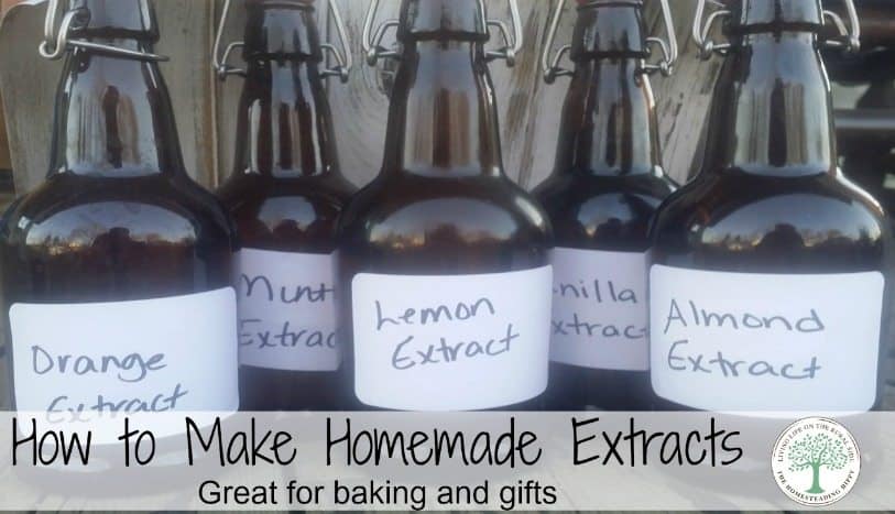Make your own extracts for delicious baking and gift giving! The Homesteading Hippy #homesteadhippy