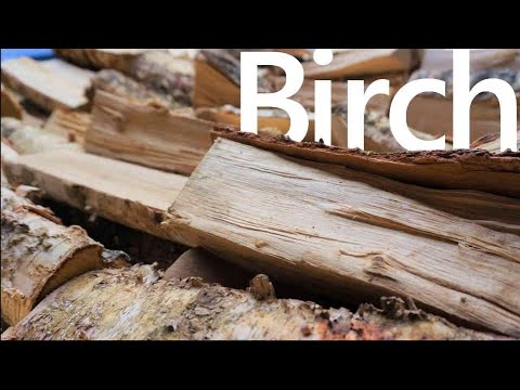 Birch Firewood | How Does It Burn? | White Horse Energy