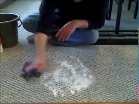 How to Clean Pet Vomit From Carpet - Remove Pet Stains From Carpet - Vinegar to Clean Carpet