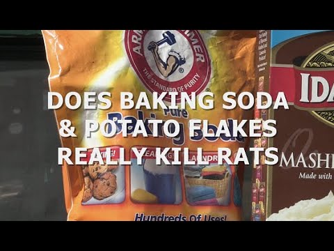 DOES POTATO FLAKES &amp; BAKING SODA KILL RATS