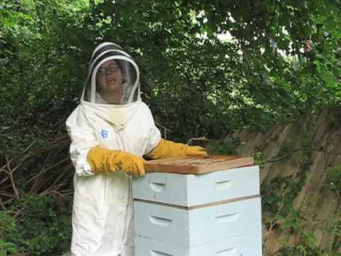 Heather&#039;s How To: Honey Harvesting