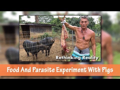 Rethinking Reality: Food and Parasite Experiment With Pigs | Dr. Robert Cassar