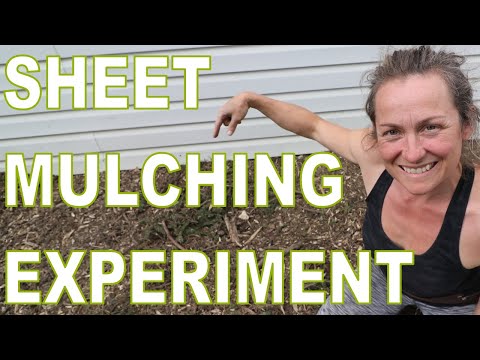Sheet Mulching Experiment In Our Permaculture Garden