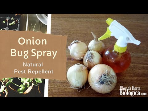 Onion Bug Spray - Natural Pest Repellent