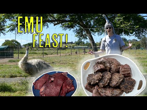 Trying EMU For The First Time! Emu MUKBANG from Emu Heaven, Queensland!