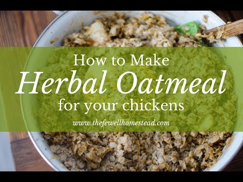 How to Make Herbal Oatmeal for Your Chickens