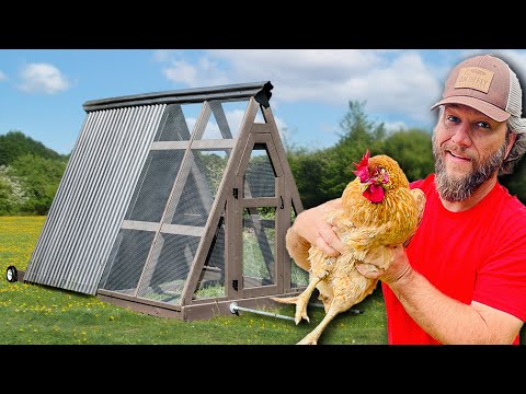 Building An A Frame Chicken Coop / Tractor