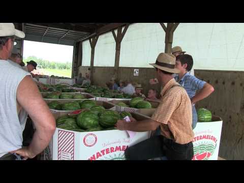 Produce Auction In Lancaster County