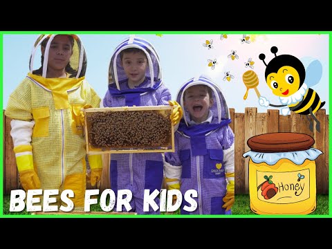 Learn About Bees for Kids | Pollination for Kids | Beekeeping for Kids