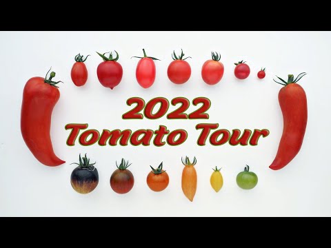 2022 Tomato Tour