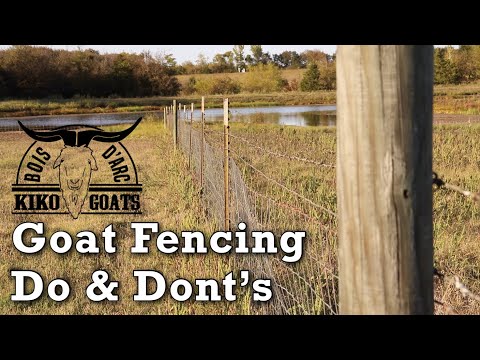 Goat Fencing Do &amp; Don’t | Goat Fencing Tips | I share some fencing Tips | Raising Goats | Goat Farm