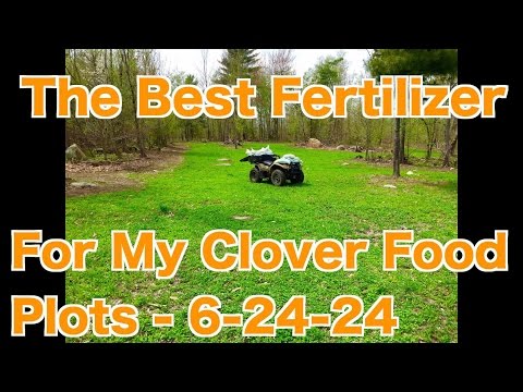The Best Fertilizer For My Clover Food Plots