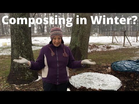 Composting in Winter: 4 Tips for Success