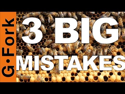 3 Mistakes Beginning Beekeepers Make - GardenFork