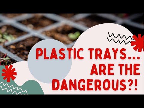 Do Plastic Trays Leach Plastic Into Our Soil &amp; Eventually Our Plants? Seed Starting In Canada