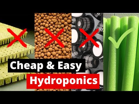 Cheap &amp; Easy DIY Hydroponics | Ditch the expensive stuff for a $1 Pool Noodle