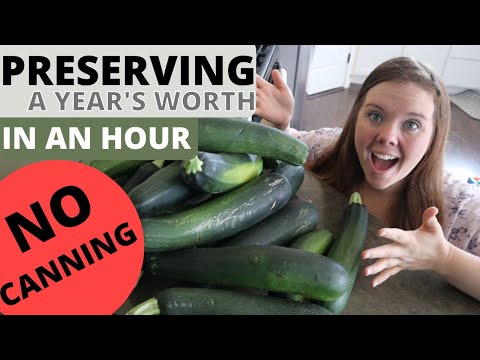 PRESERVING a YEAR&#039;S worth of ZUCCHINI || So easy and NO CANNING!!!!