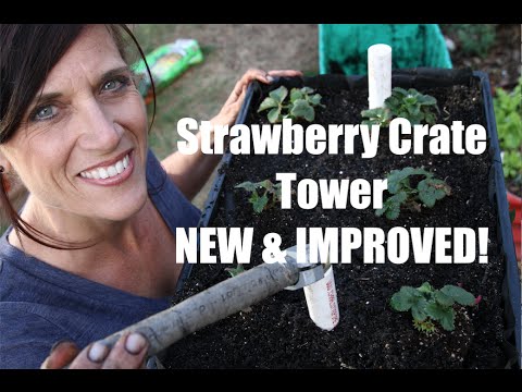 How to Build a Strawberry Crate Tower -NEW AND IMPROVED!