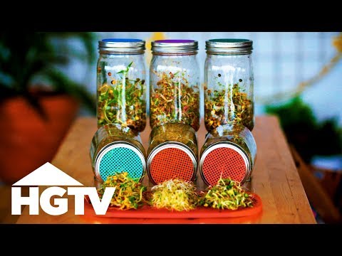 Way to Grow: How to Grow Sprouts in Jars | HGTV