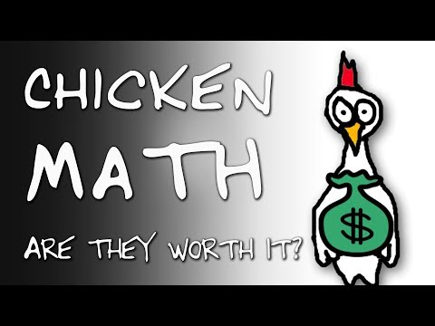 CHICKEN MATH: Are Backyard Chickens Worth It?