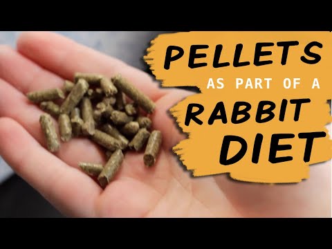 Do Rabbits NEED pellets?