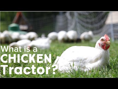 What is a Chicken Tractor?