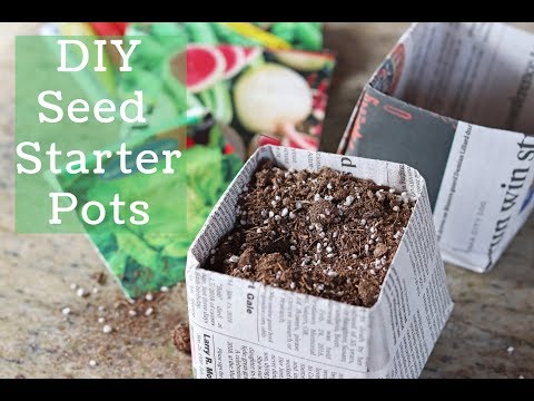 DIY Newspaper Seed Starting Pots