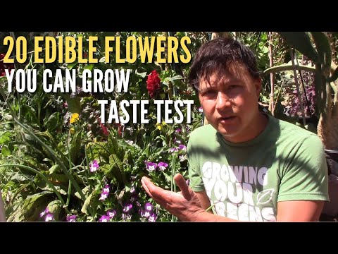 20 Edible Flowers You Can Grow &amp; Eat Taste Test