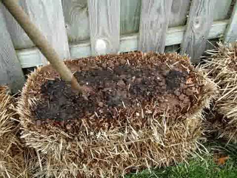 Straw Bale Gardening: Start to Finish