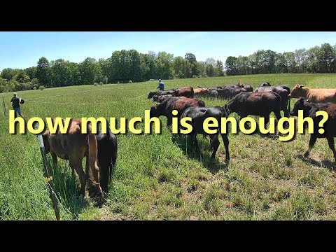 Do We Have Enough Land For Our Cattle?