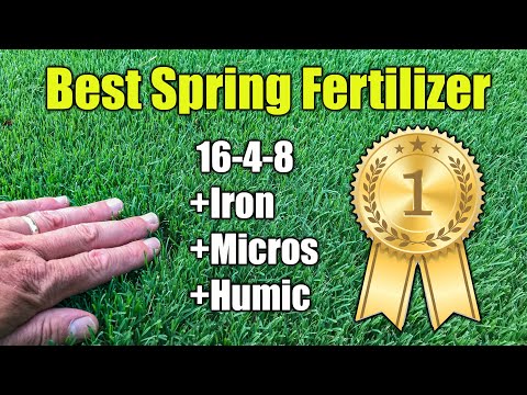 Best Spring Lawn Fertilizer
