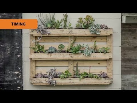 How to Create a Pallet Garden | Mitre 10 Easy As Garden