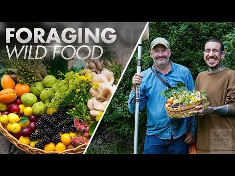 A Beginners Guide to Forage Wild Food
