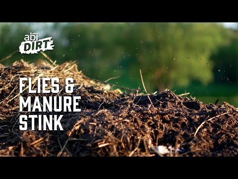 How to Minimize Flies and Manure Stink - ABI Dirt