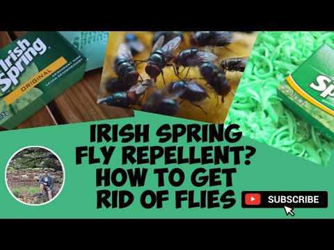 IS IRISH SPRING FLY REPELLENT? | HOW TO GET RID OF FLIES