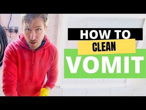 How to Clean Sick Off a Carpet