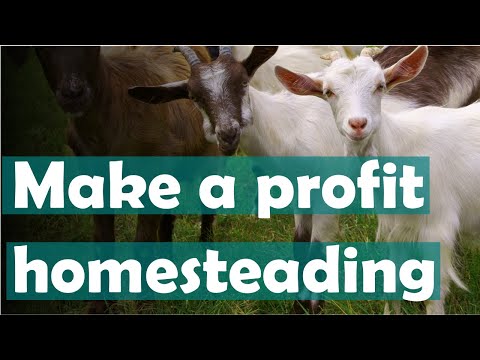 How to make money homesteading with these 5 animals: Raising animals for profit.