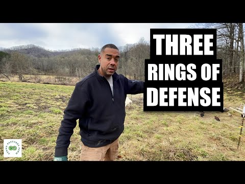 Defend your Homestead!