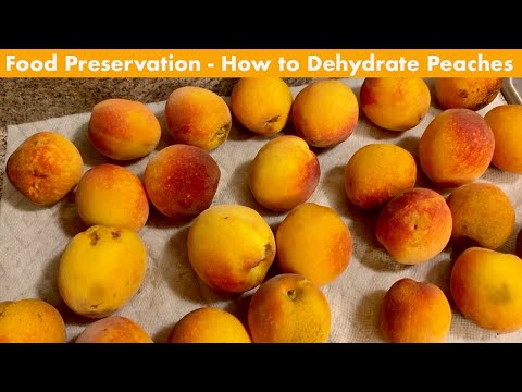 Food Preservation How to Dehydrate Peaches