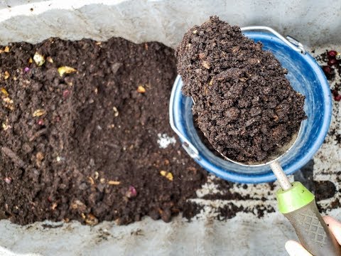 How to Harvest Worm Castings from a Simple Worm Compost Bin