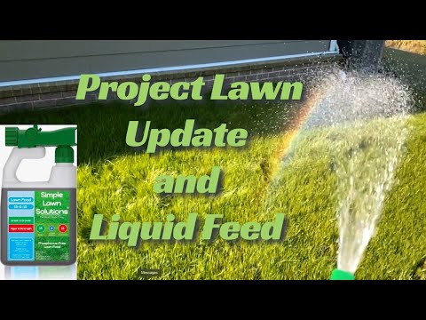 Liquid Fertilizer on New Project Lawns // Simple Lawn Solutions 15-0-15