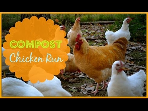 Compost Chicken Run~Let Your Chickens Work!