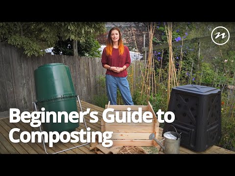 Beginner&#039;s Guide to Composting