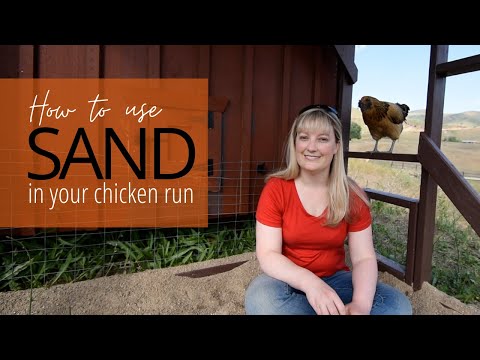 Using sand in your chicken run