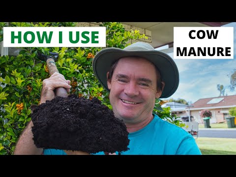 HOW I USE COW MANURE QUICK GARDEN TIPS