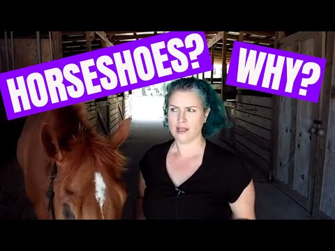 Why Do Horses Need Shoes?