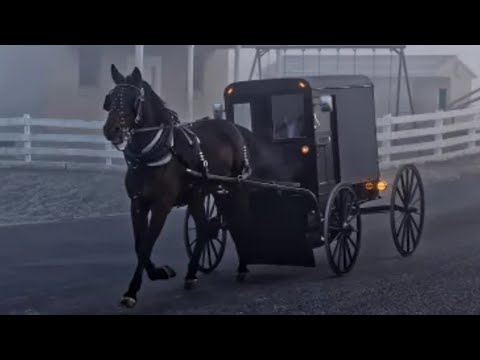 Things You Get Wrong About The Amish