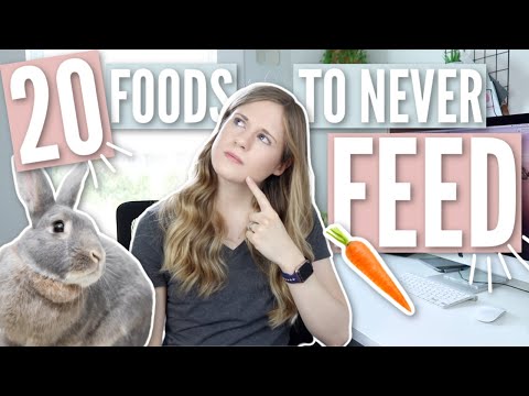 20 FOODS TO NEVER FEED RABBITS 🥕